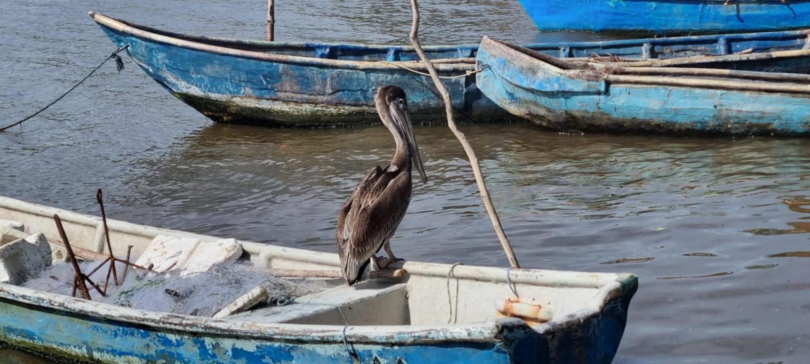 SiÉ Cabaña en Coveñas cerca a la playa