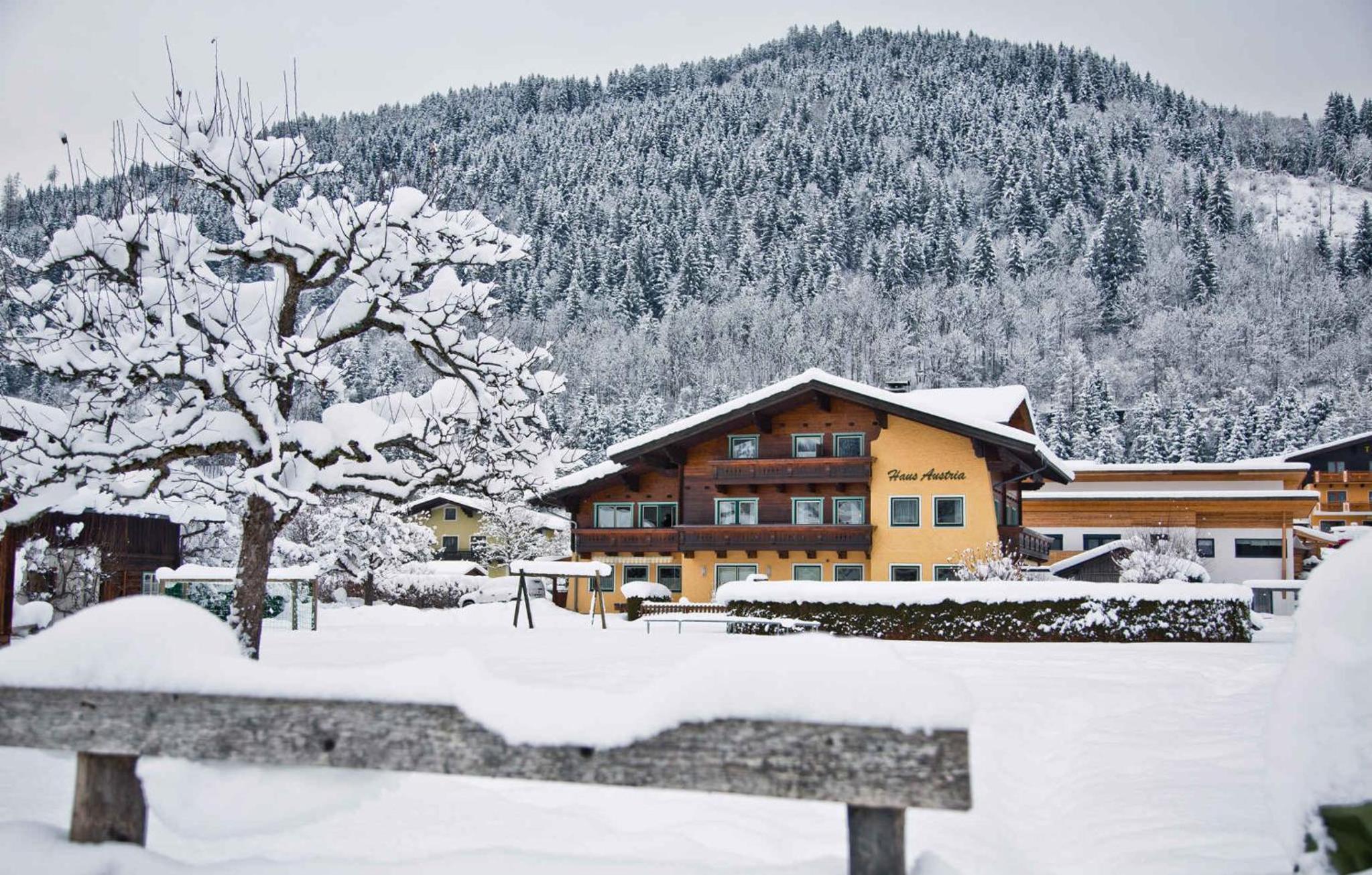 Apartments in Flachau - Salzburger Land 35293