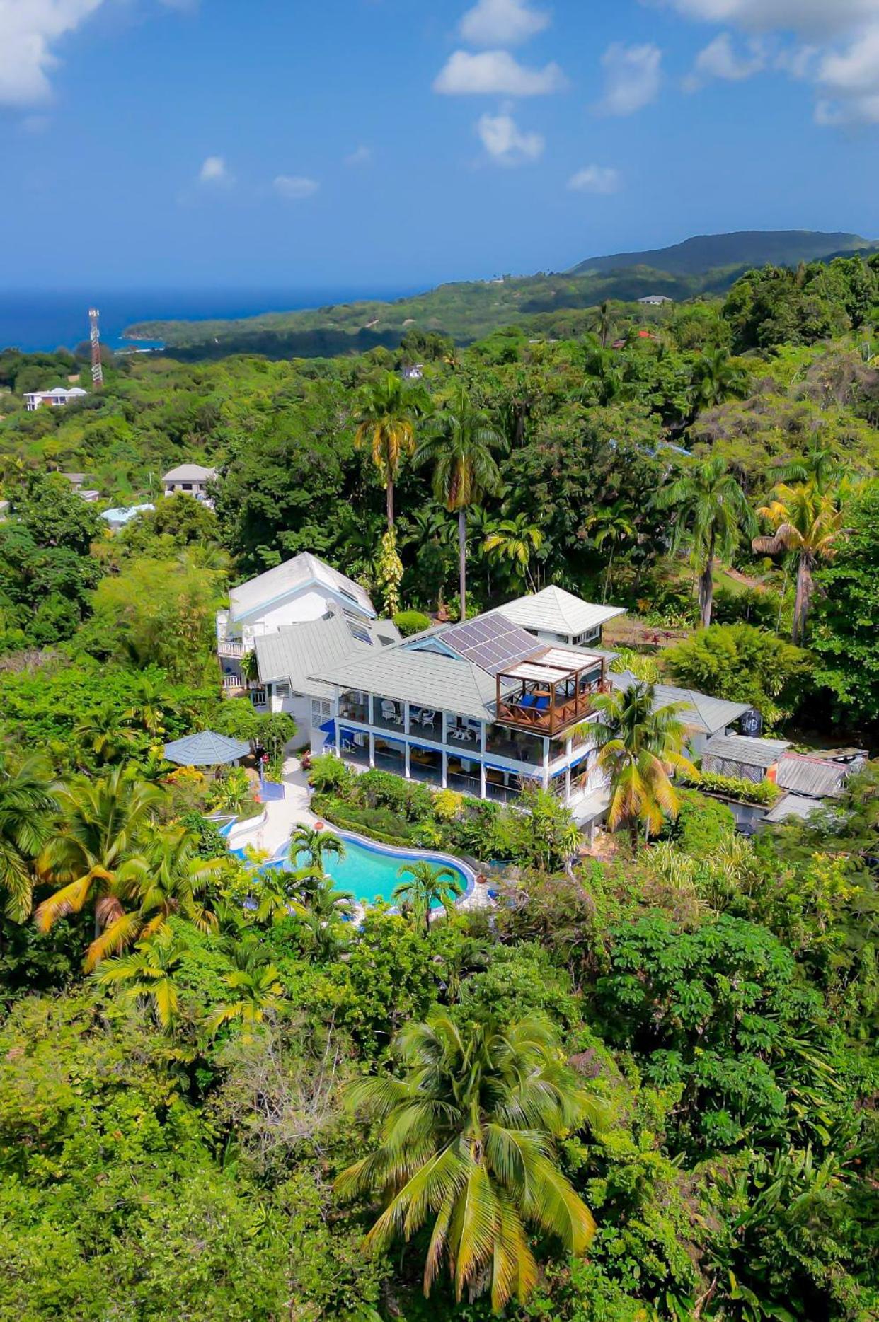 Hotel LF Jungle Retreat - Image 1