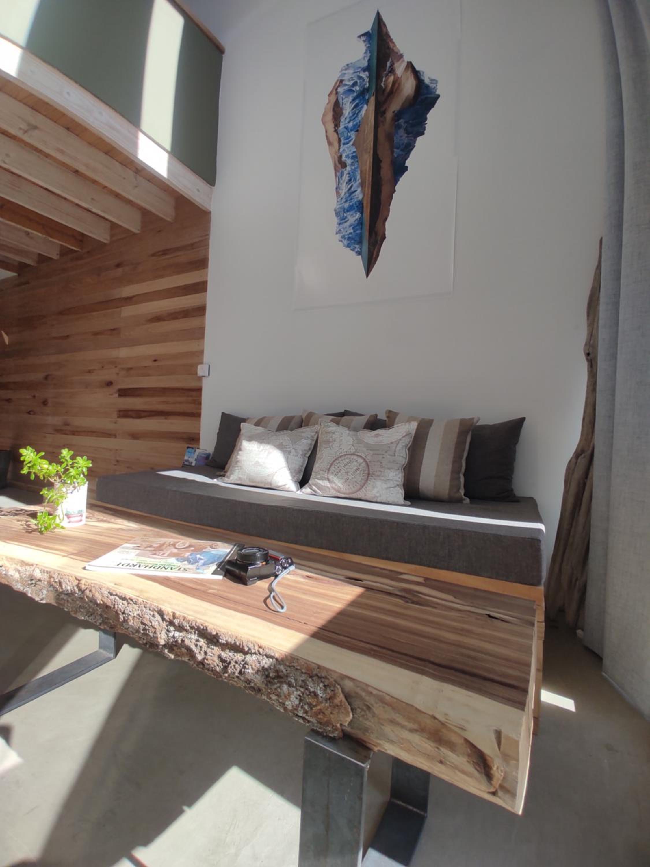 PACHAGONIA Loft
