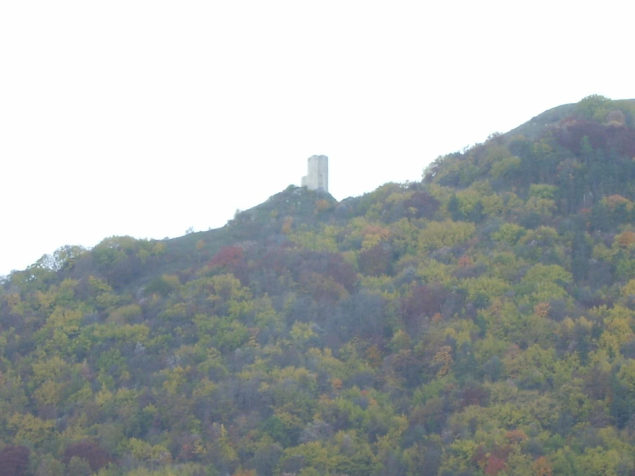 Photo 41