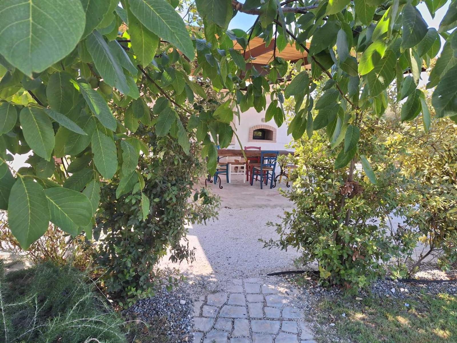 Photo 23