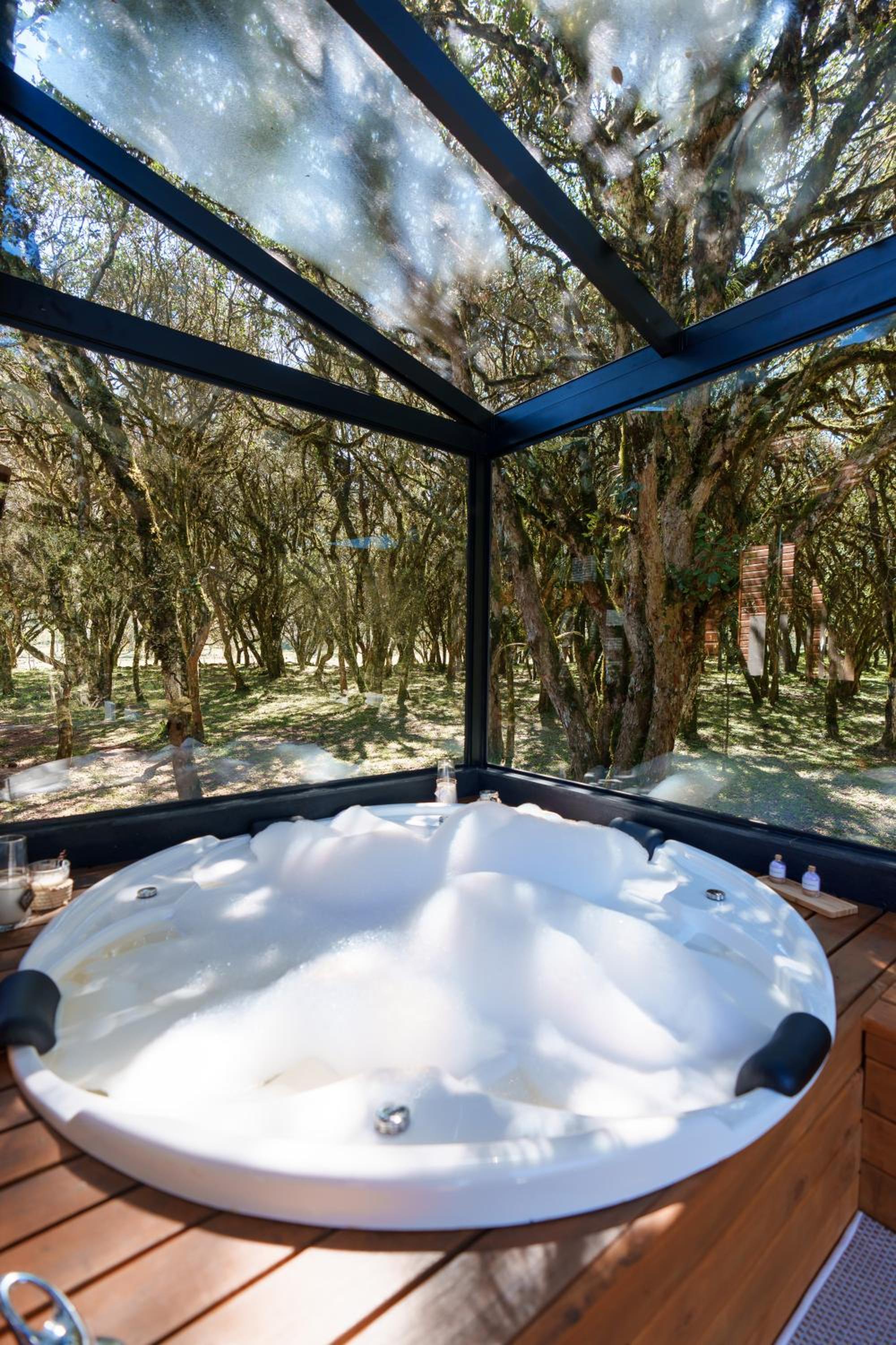 Quinta Das Estrelas