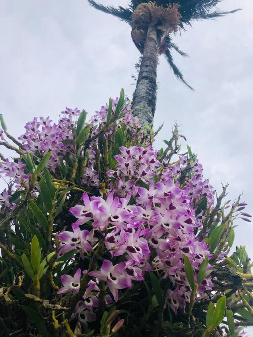 Linda chácara em Ibiúna