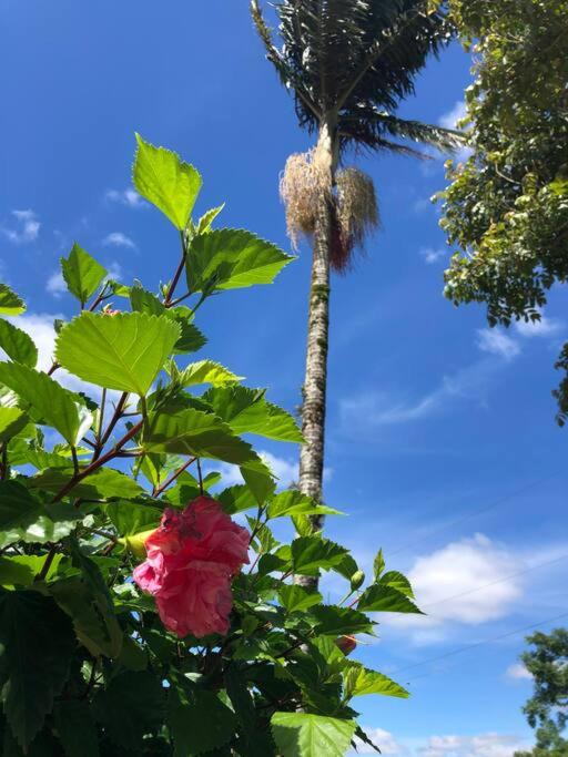 Linda chácara em Ibiúna