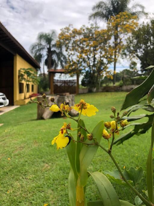 Linda chácara em Ibiúna