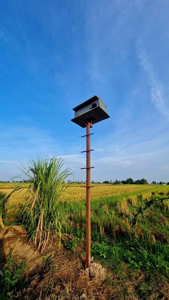 Panorama Indah Homestay photo 2