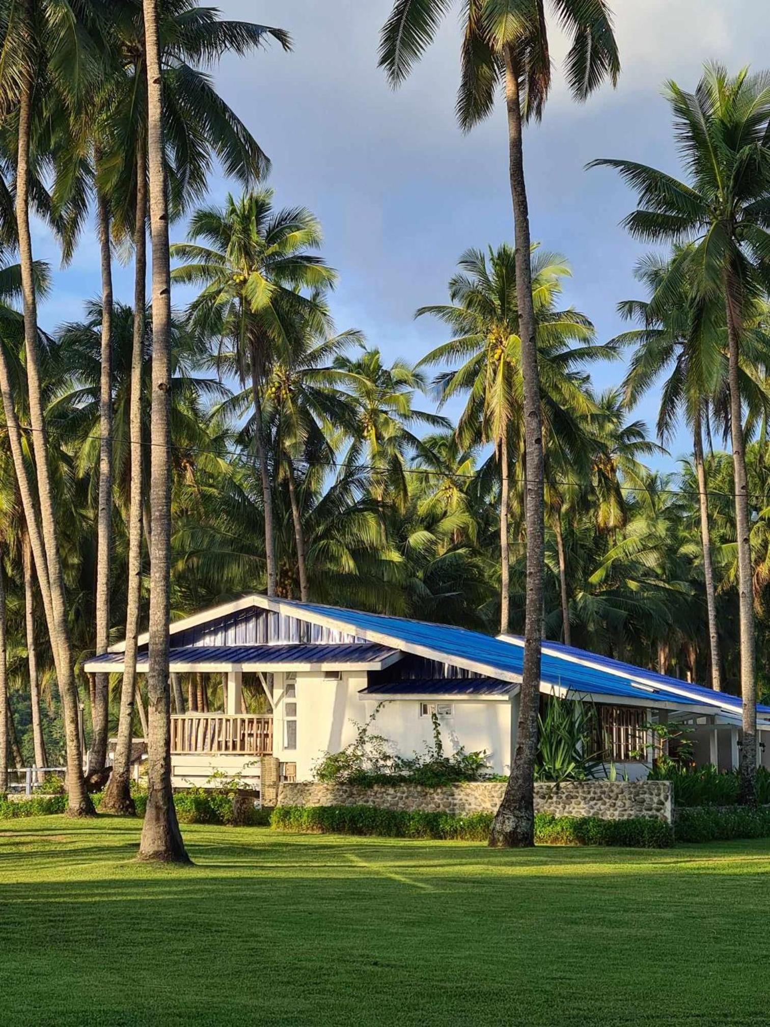 Tramonto Seaside Farm - Quezon, Palawan view 4