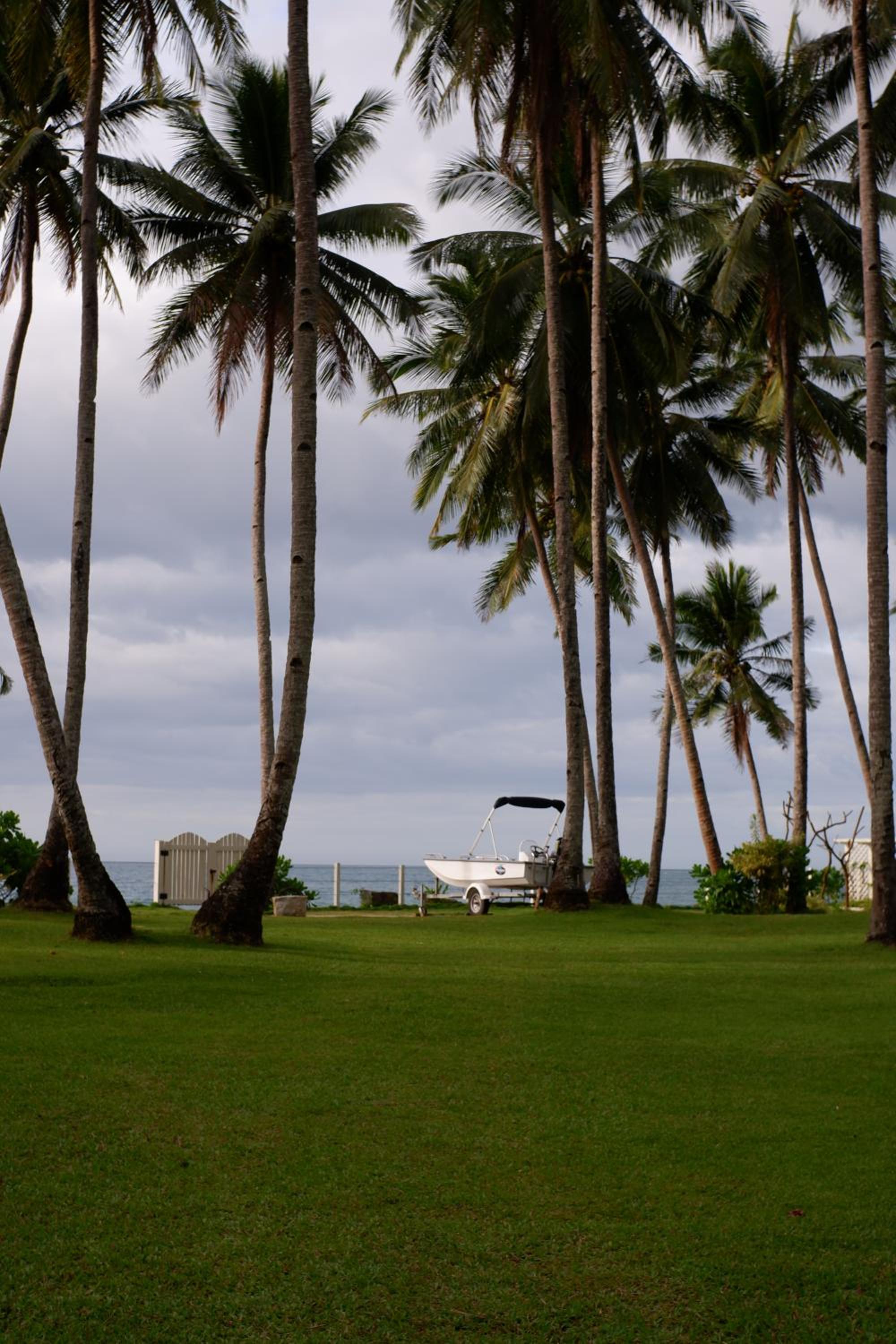 Photo 42