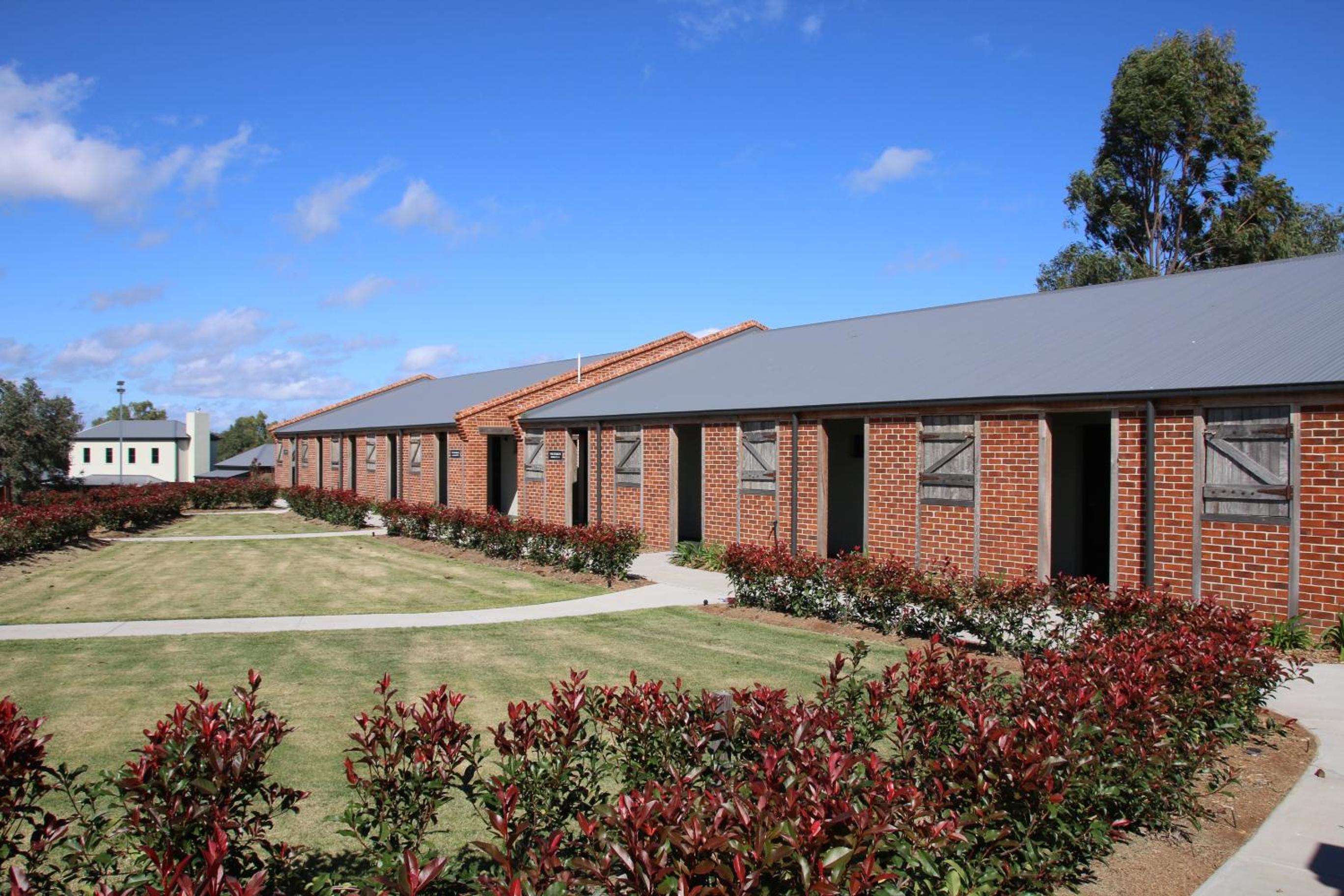 Dusty Hill Vineyard - Moffatdale