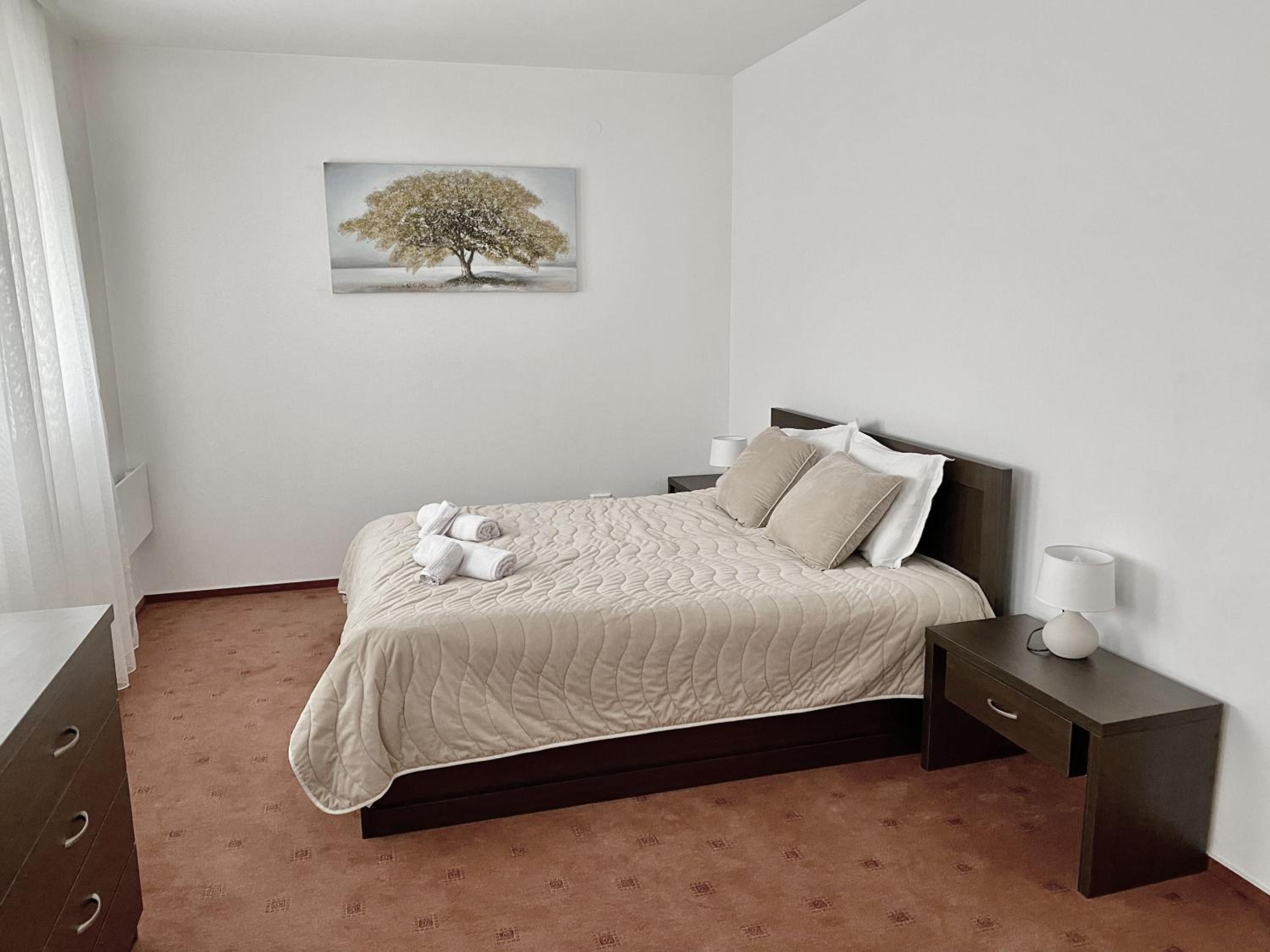 Large One Bedroom with Terrace next to the Ski Lift