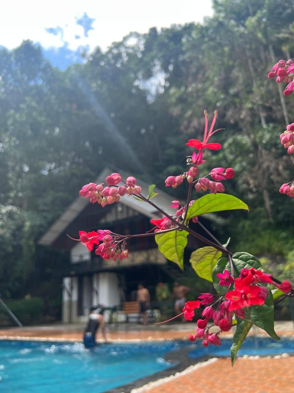 Brook Valley Resort