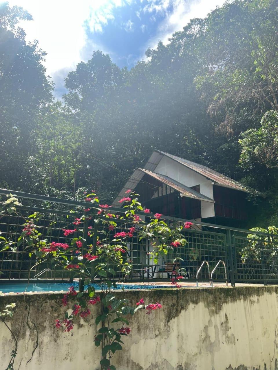 Brook Valley Resort