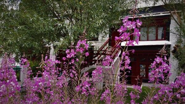 Lharimo North Cottages - Nubra Valley view 4