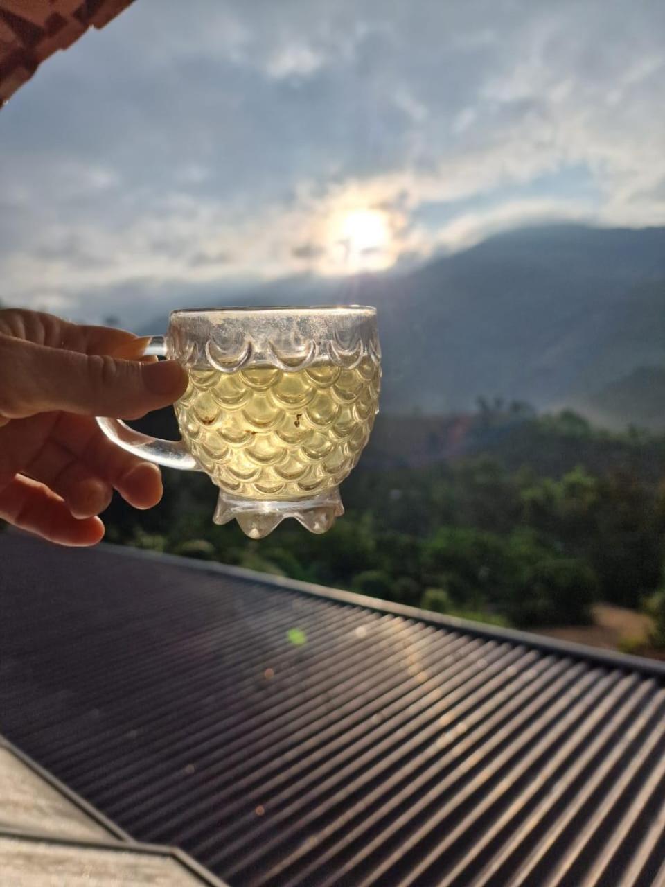 Farm cô chú Tuấn Hà view 5