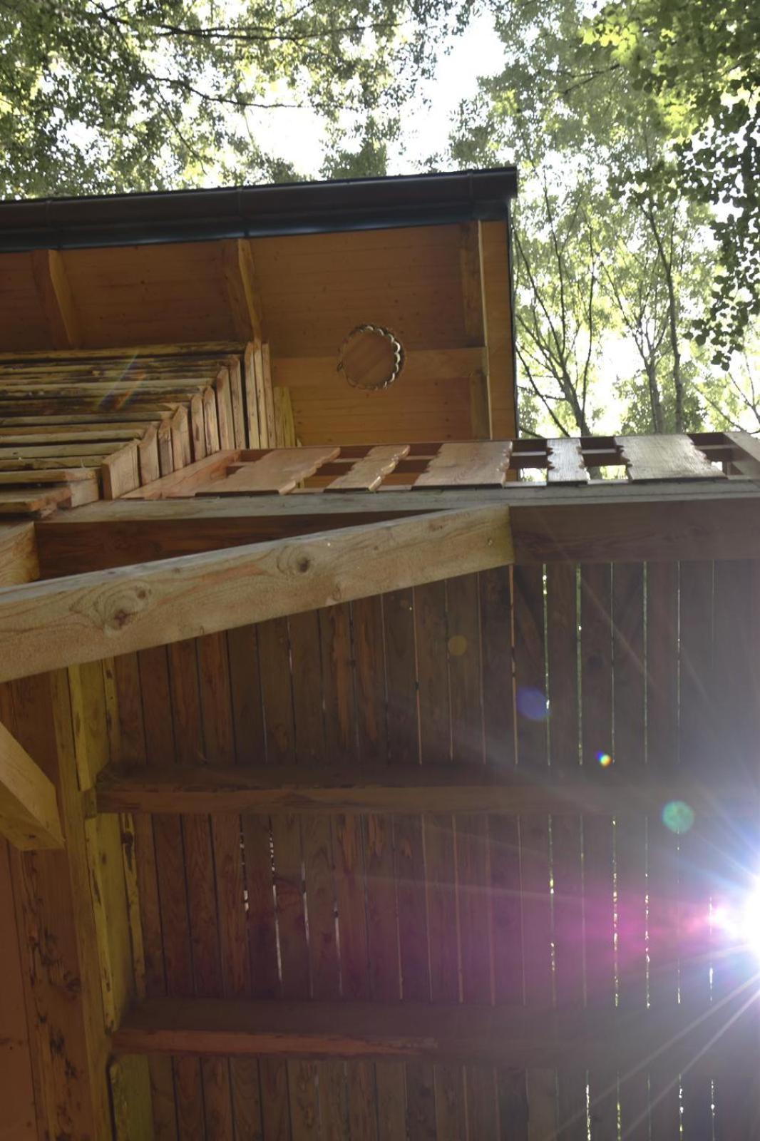Treehouse Velké Losiny