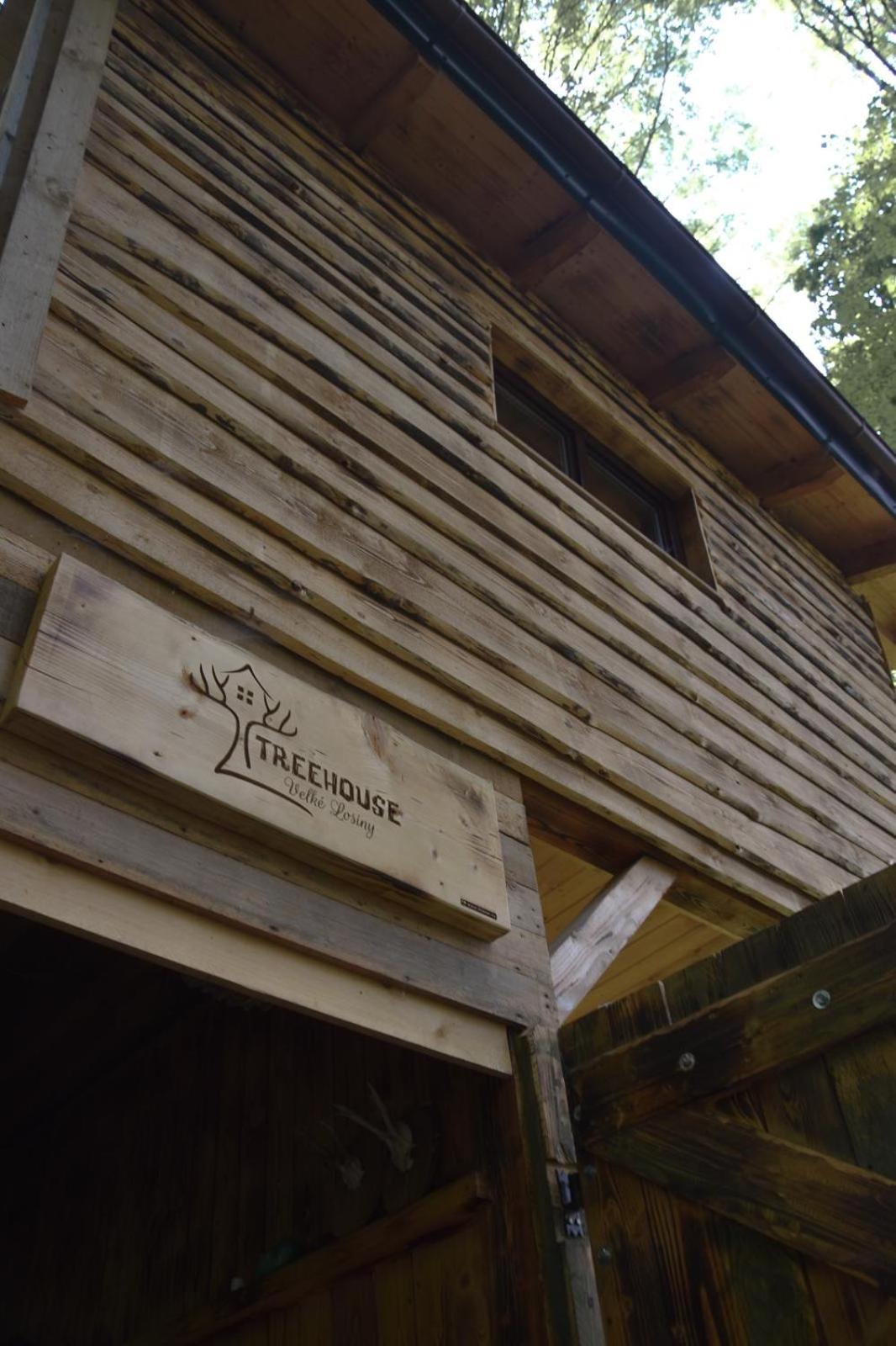 Treehouse Velké Losiny