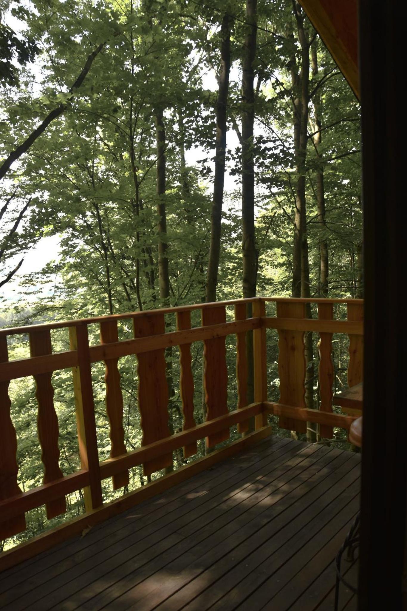 Treehouse Velké Losiny
