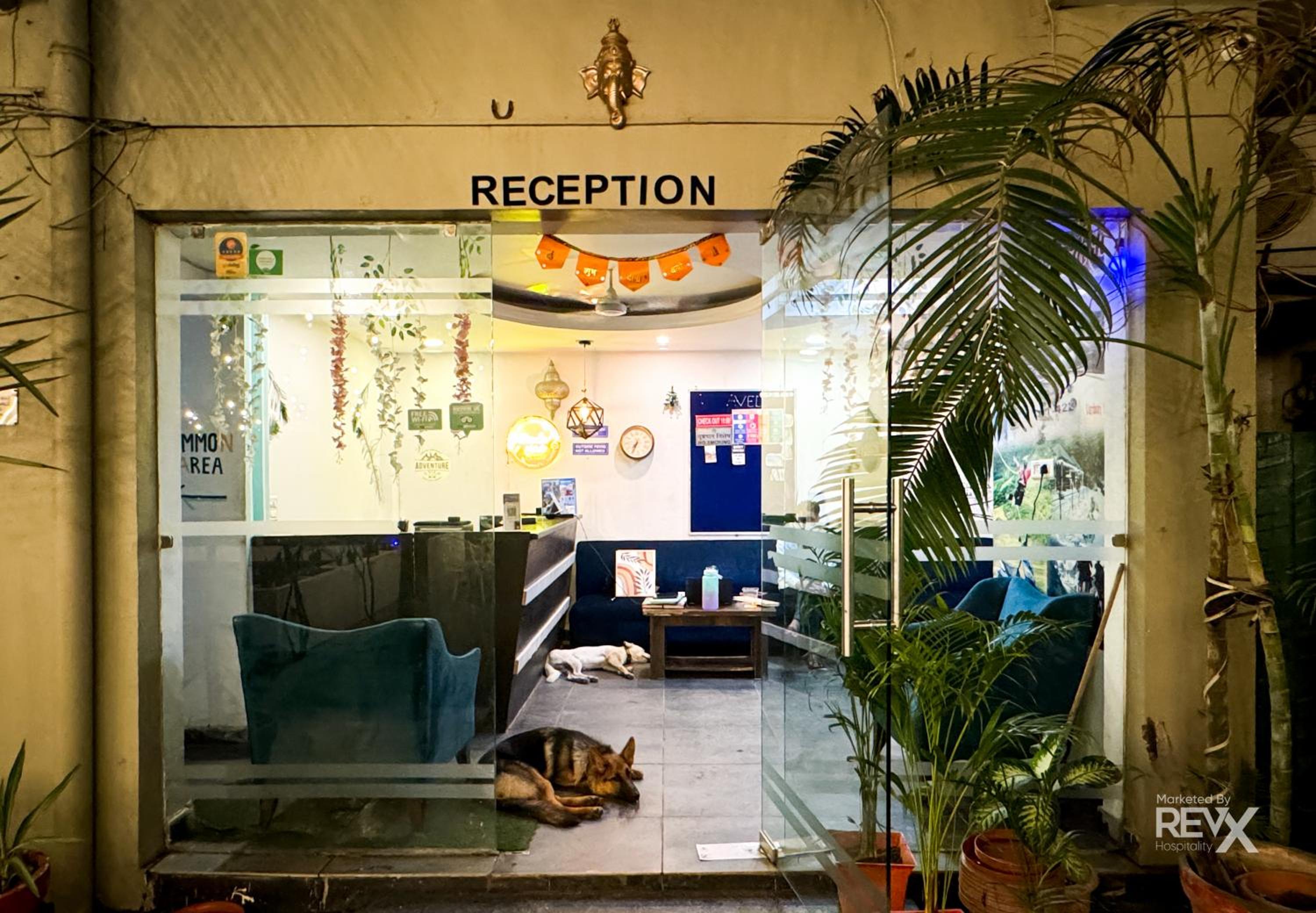 recepcion & lobby