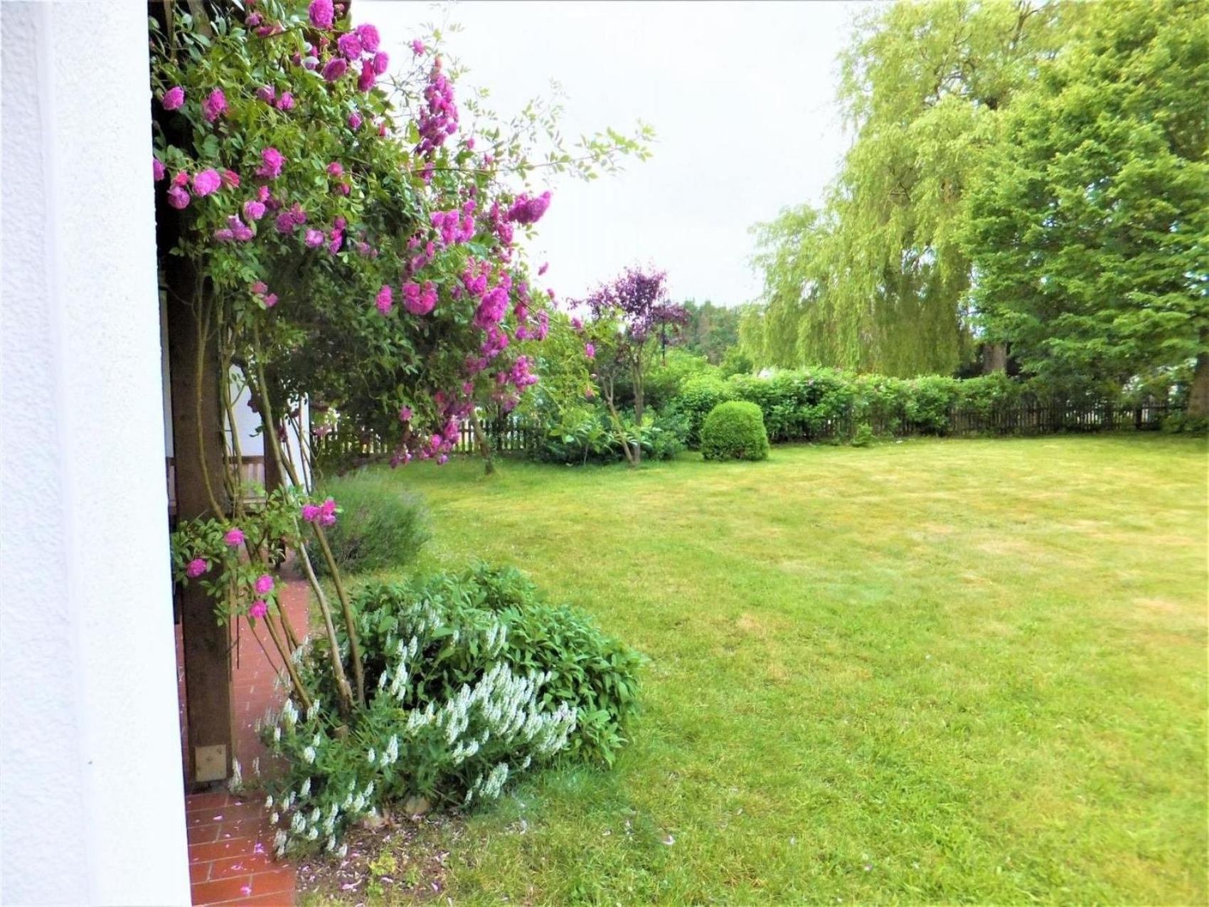 Reetdach - Ferienwohnung " Spann mol ut " bei Binz view 4