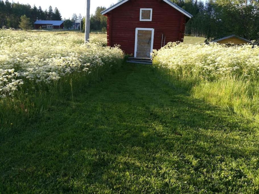 Photo 59