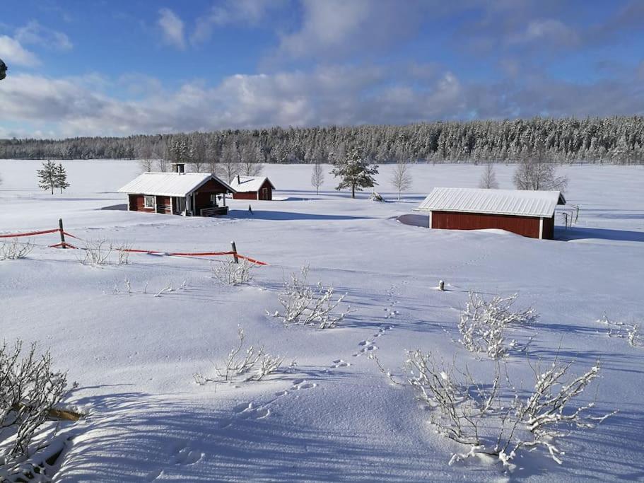 Old Holmila-Old Manor Holmila The Lure of Lapland view 4