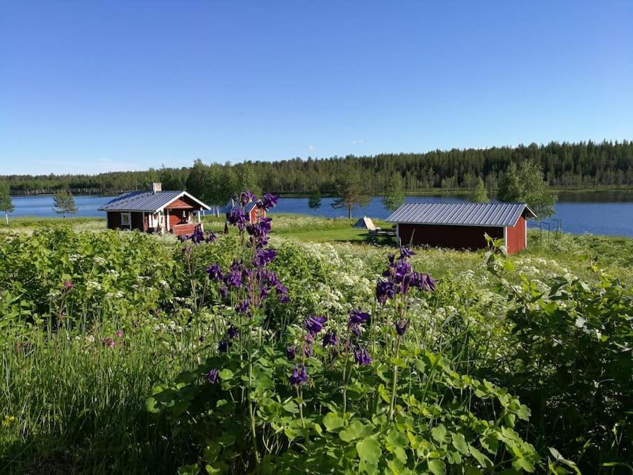 Photo 46