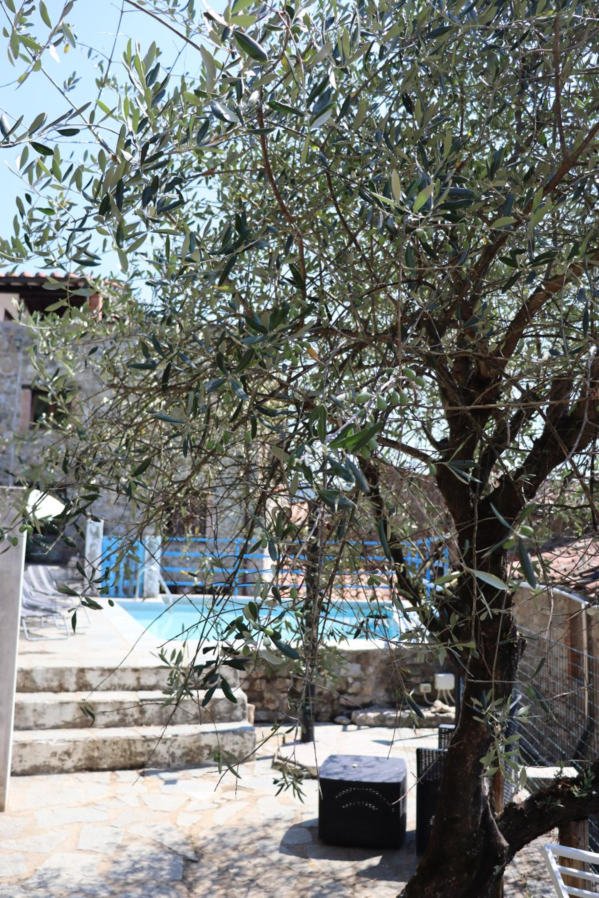 Carpe diem Colognora photo 4