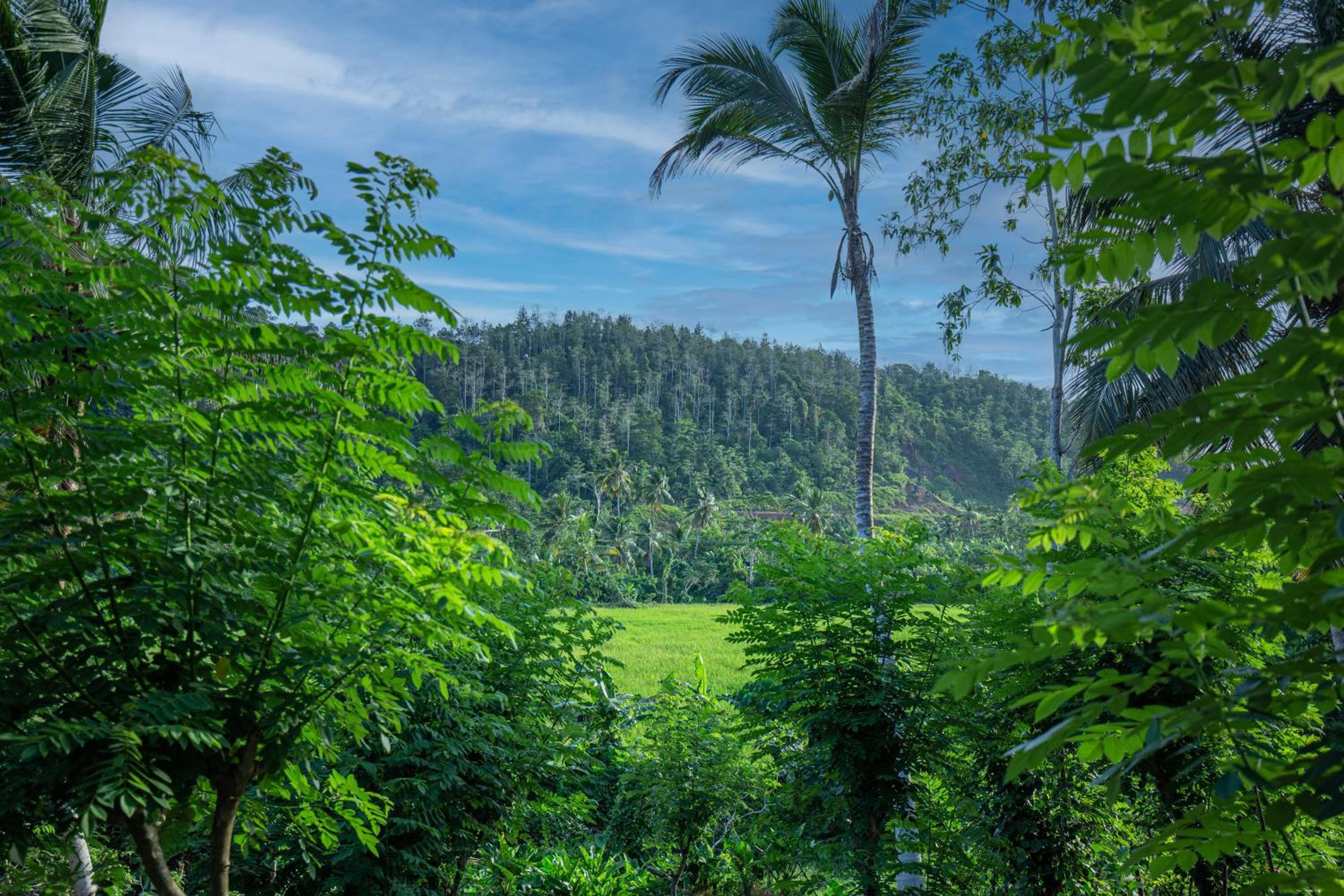 Tea house villa view 5