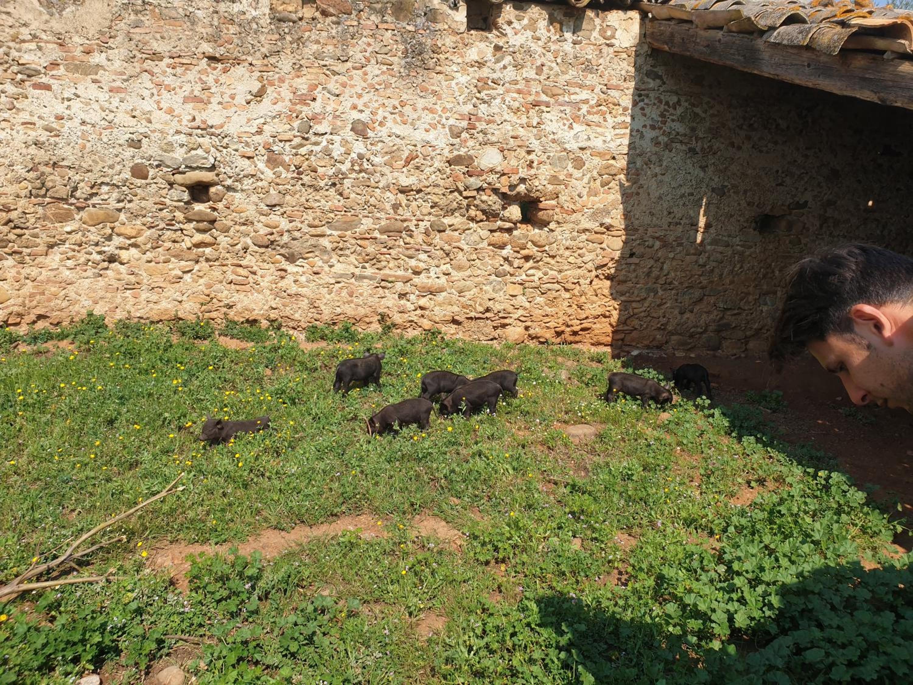 Masseria Novelli