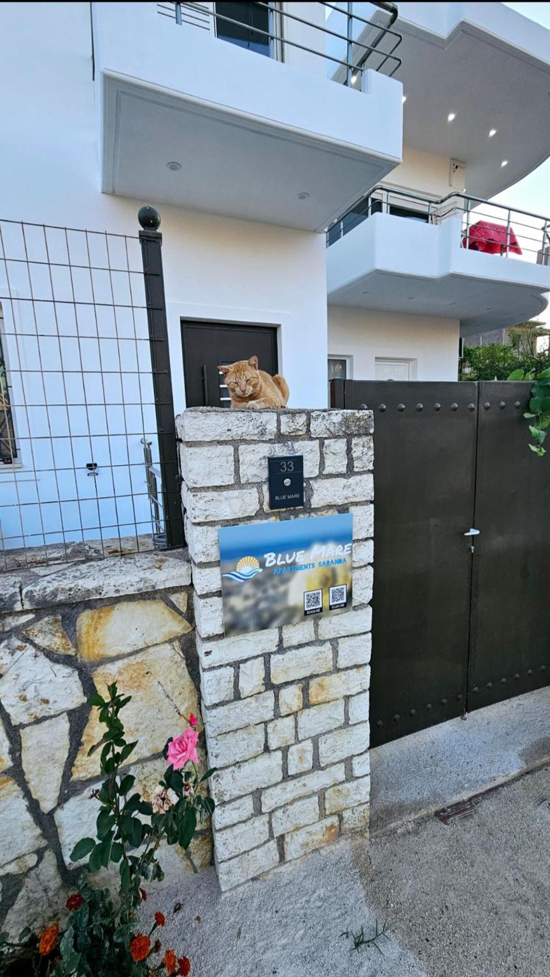 Blue Mare Apartments