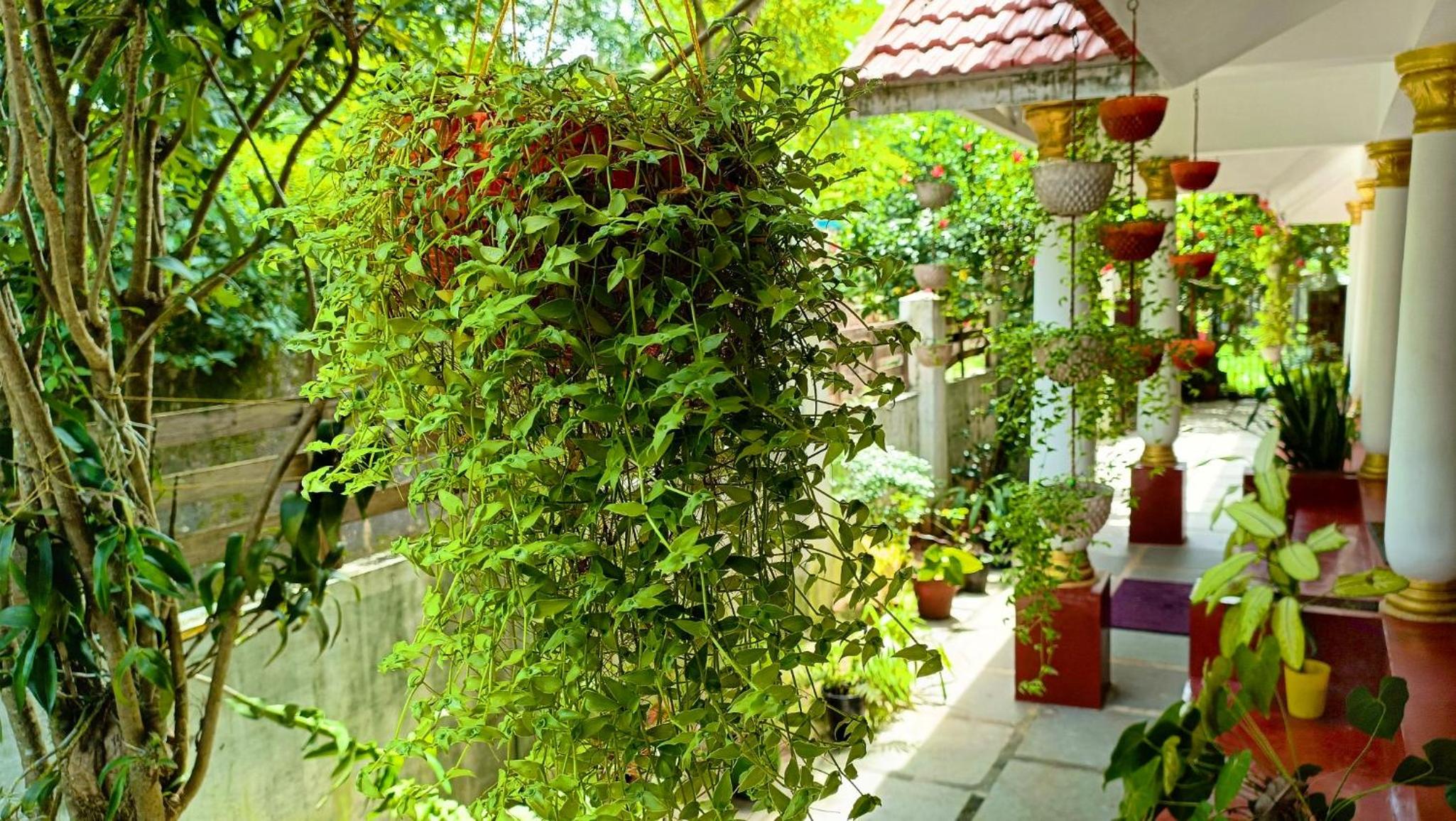 Marari Beach Cleettus Homestay