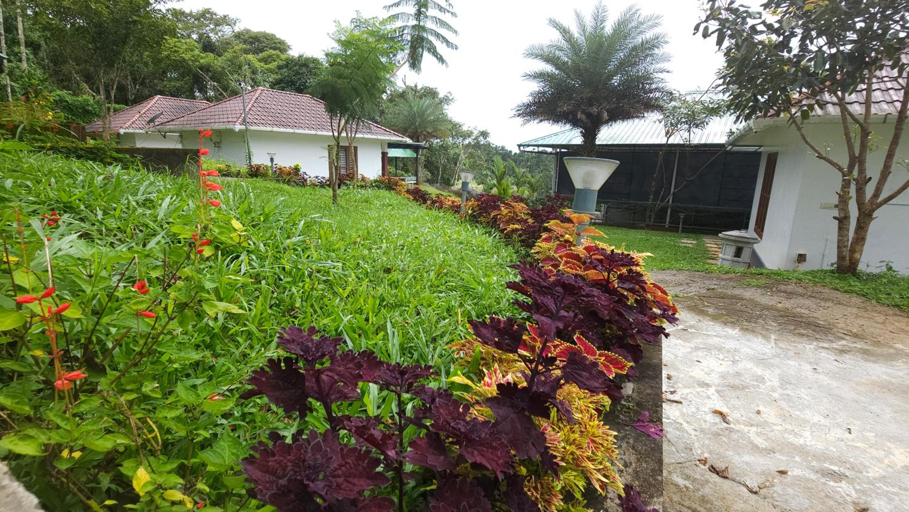 Photo 22