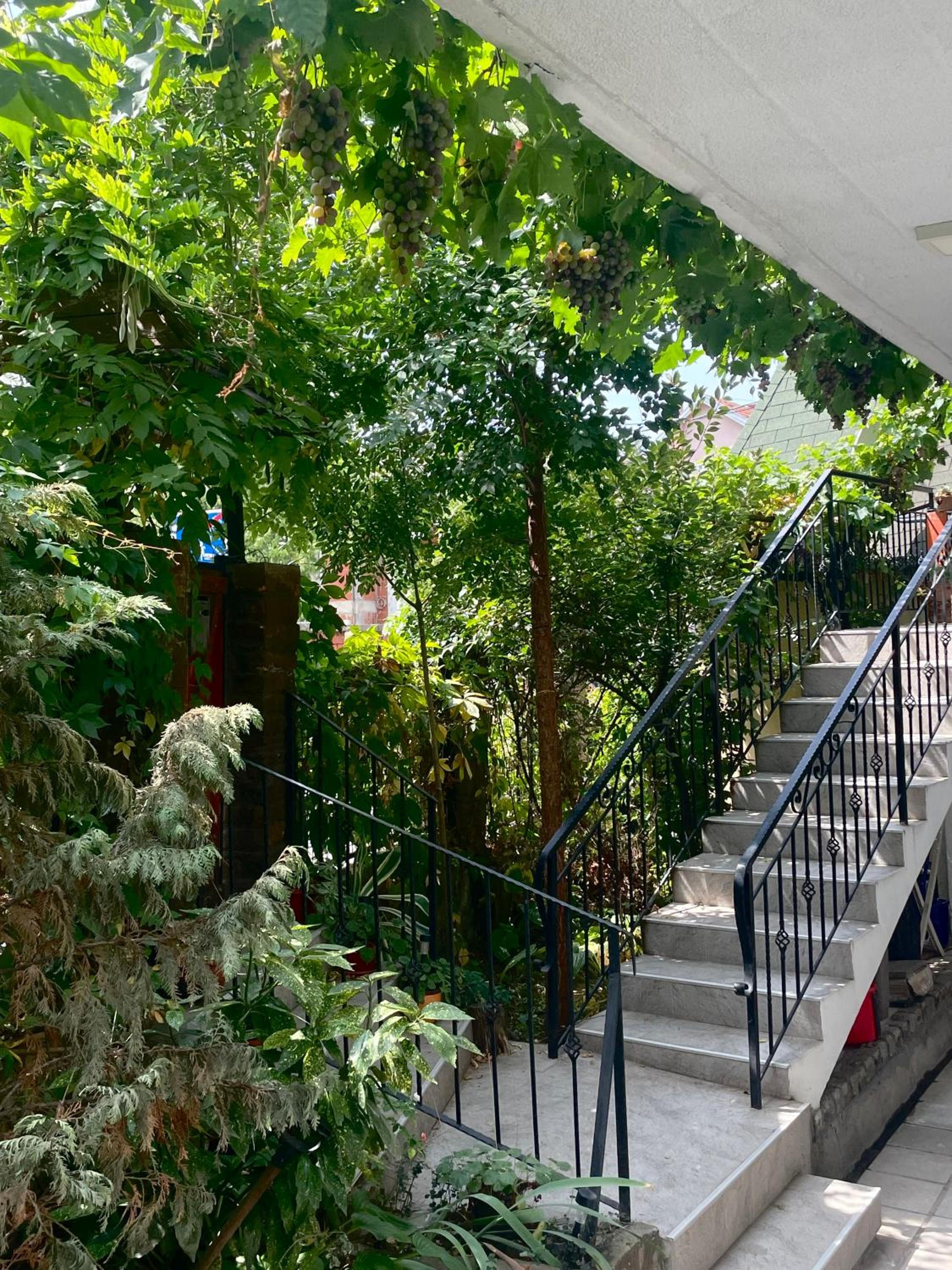 Apartment Jancic view 3