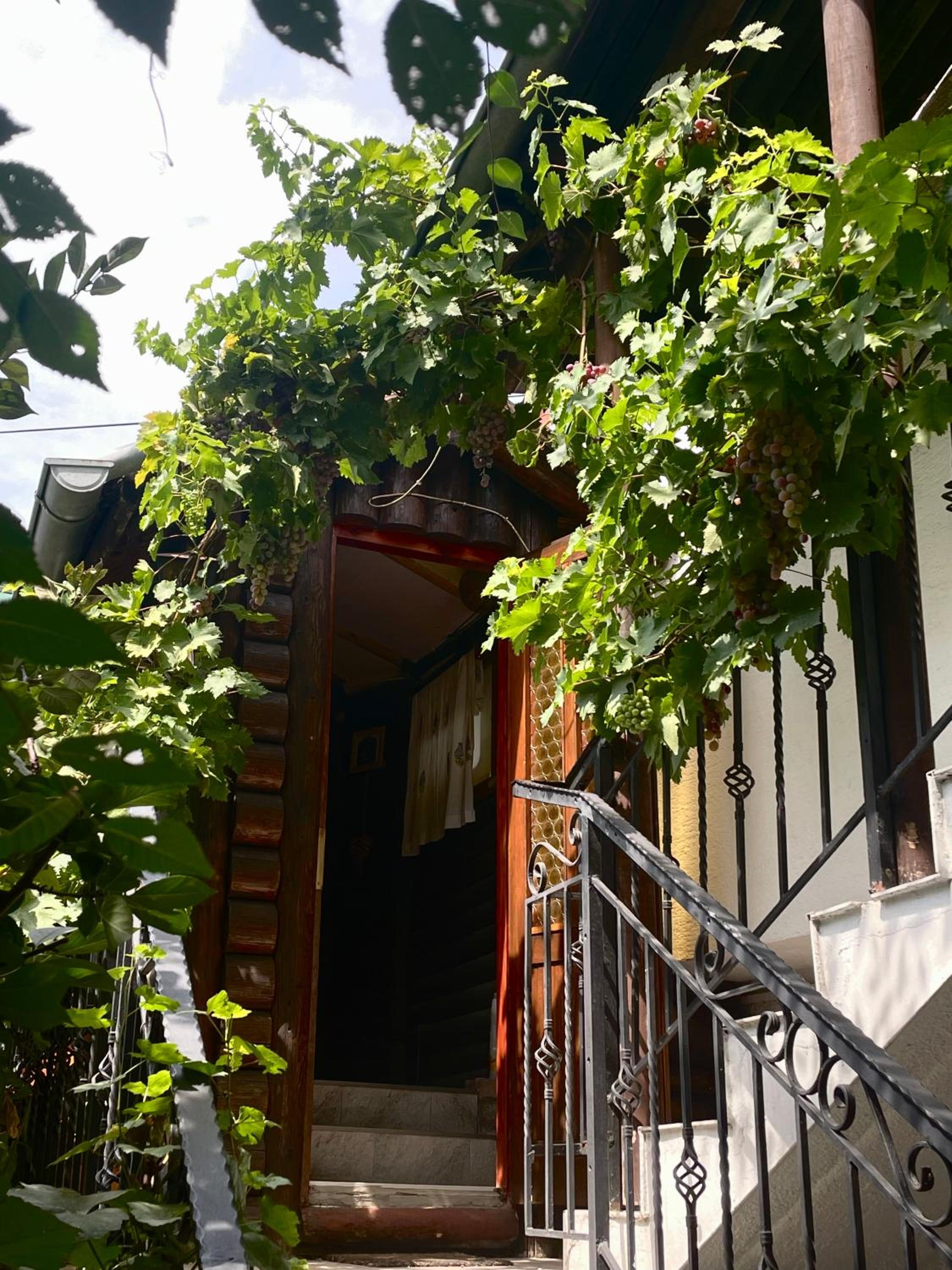 Apartment Jancic view 4