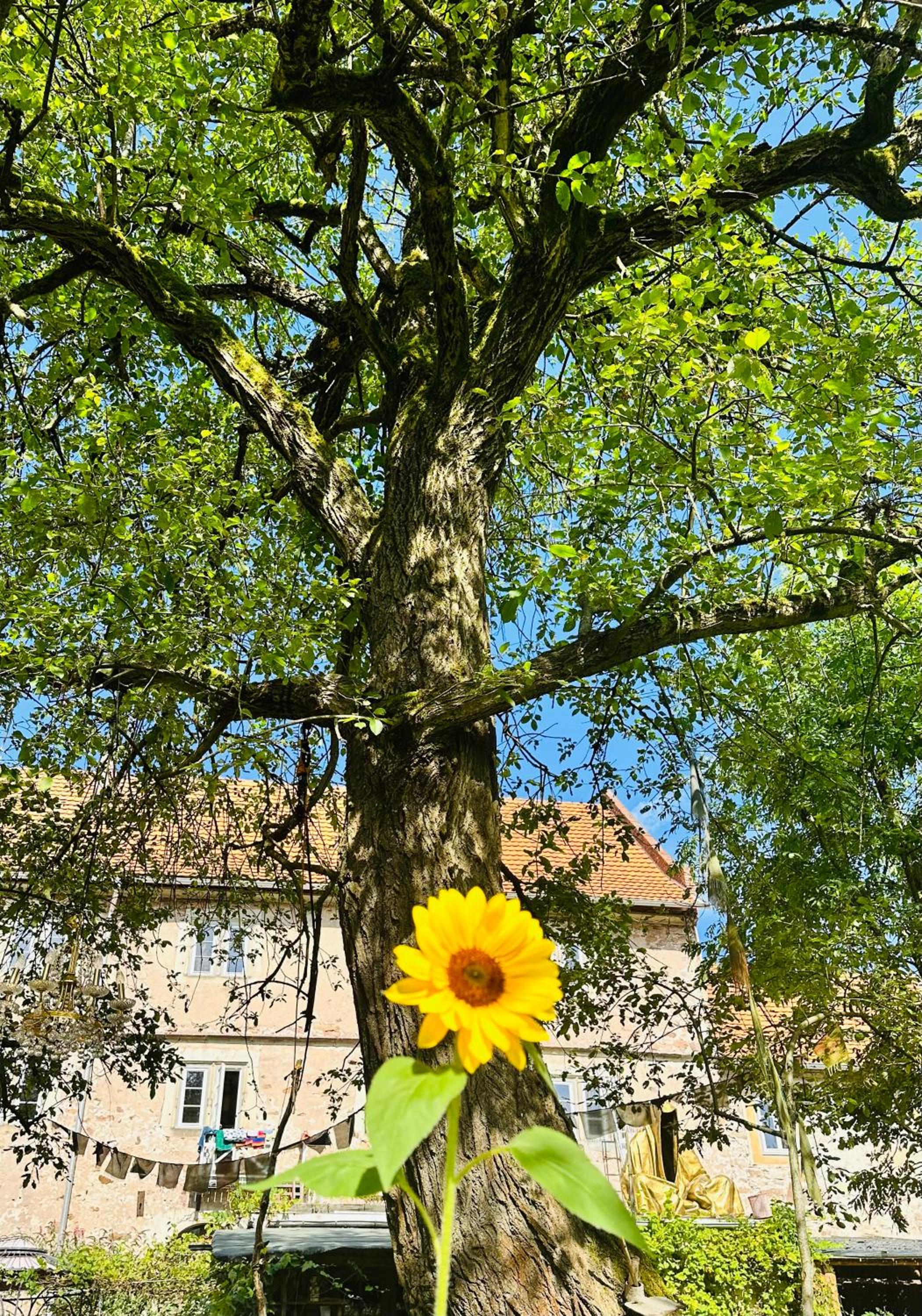 Ferienwohnung Therese auf Schloss Weitersroda