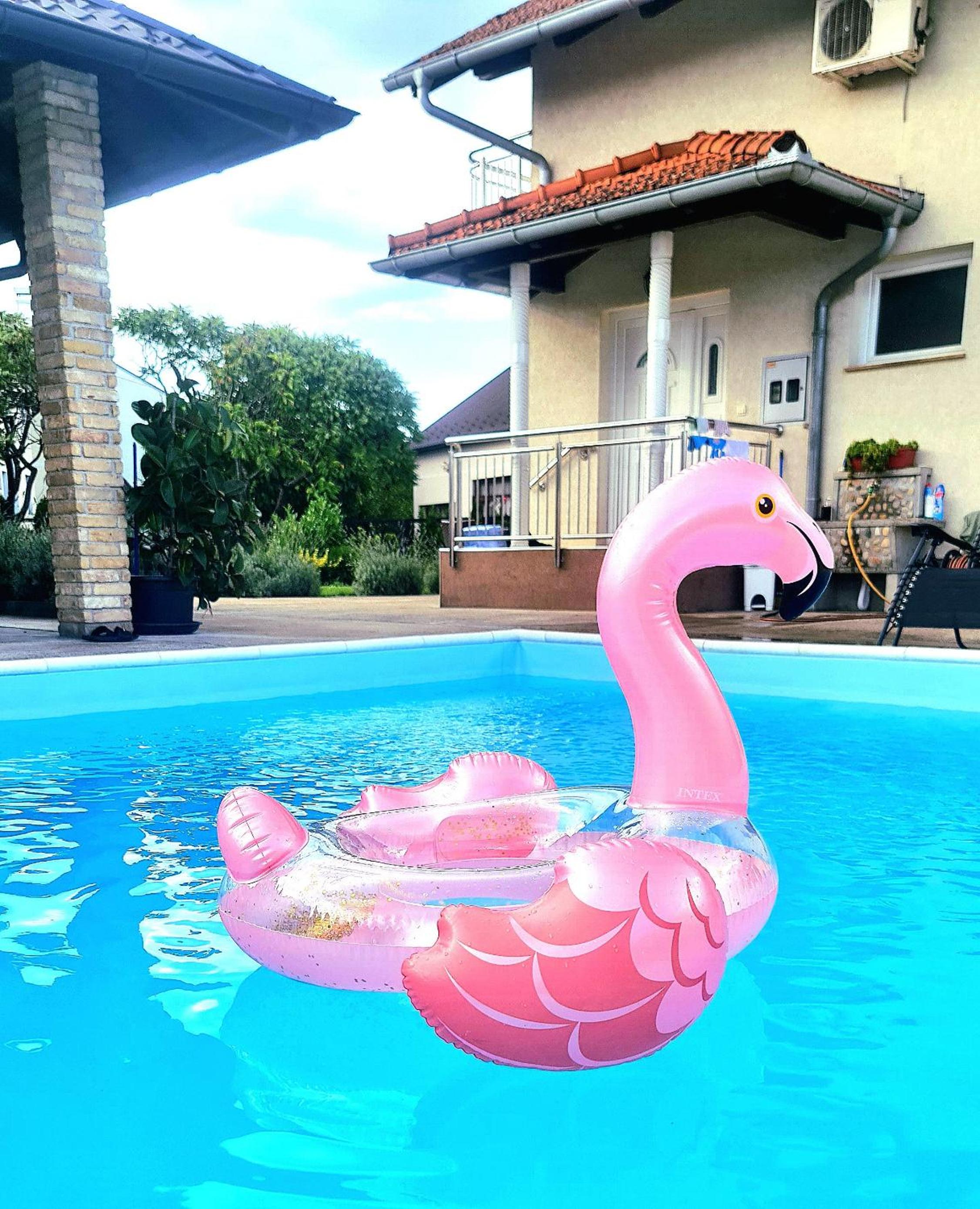 Villa Zlatan Poolside