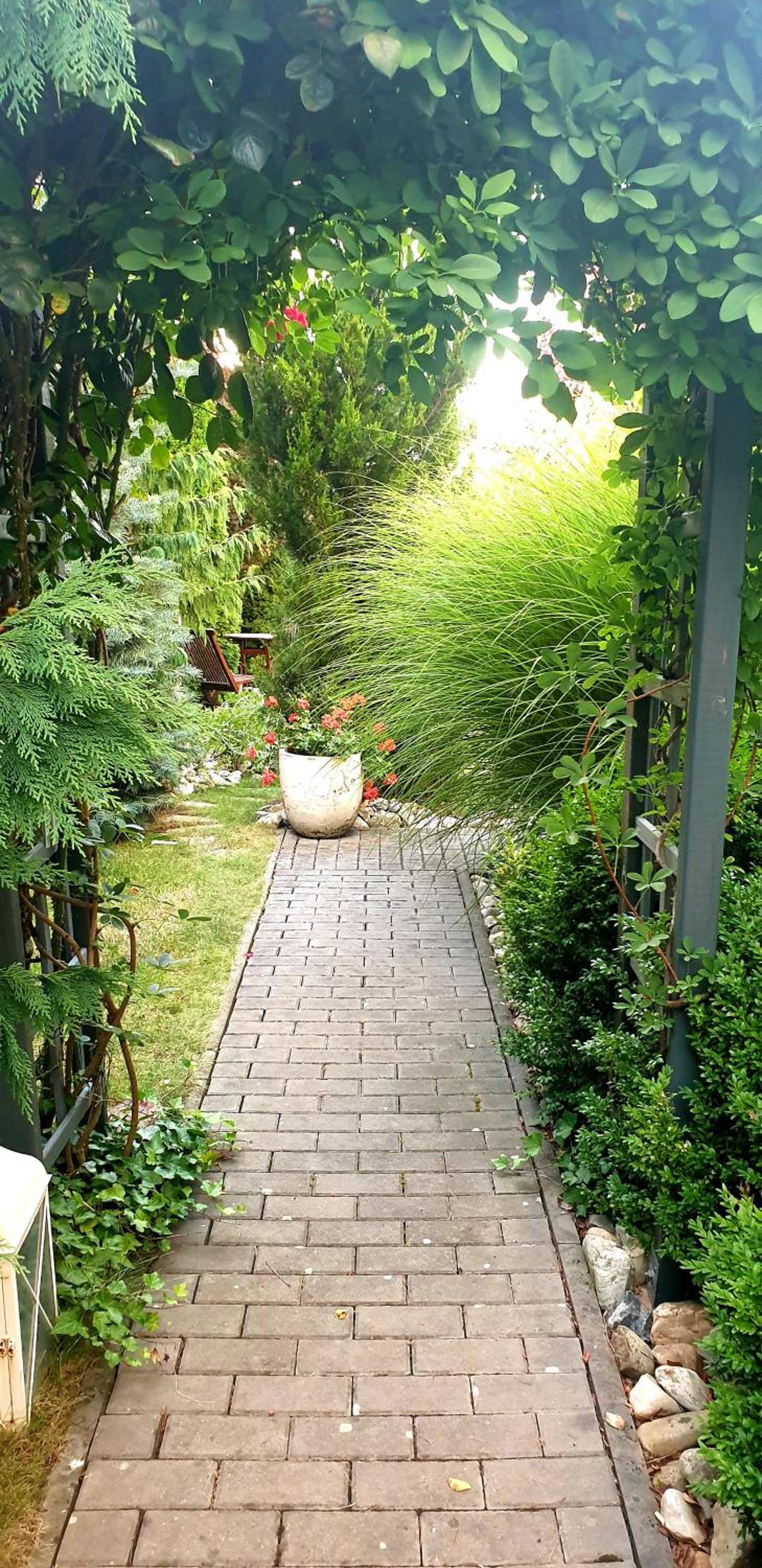 Photo 42