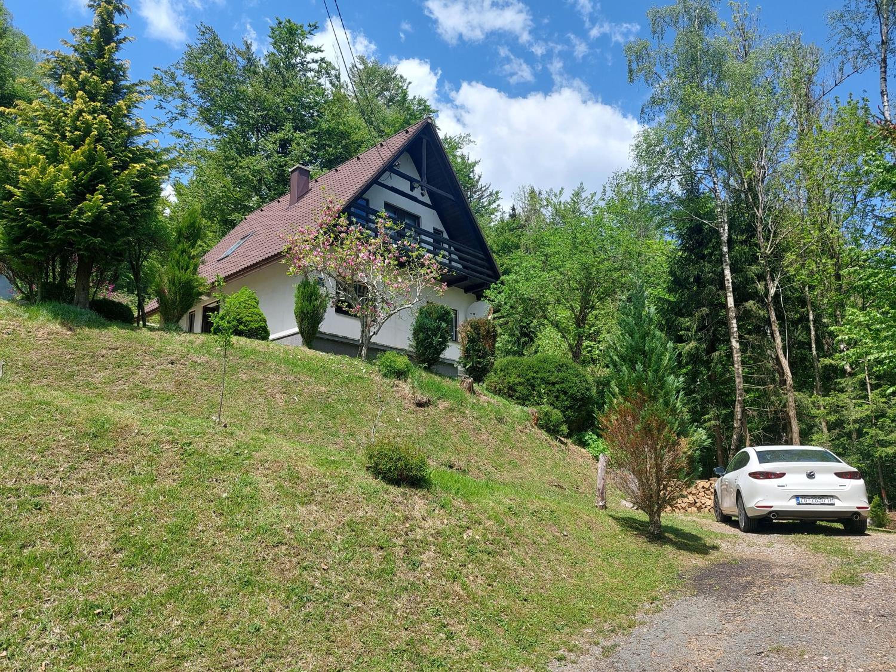 Šumska idila pokraj jezera view 4