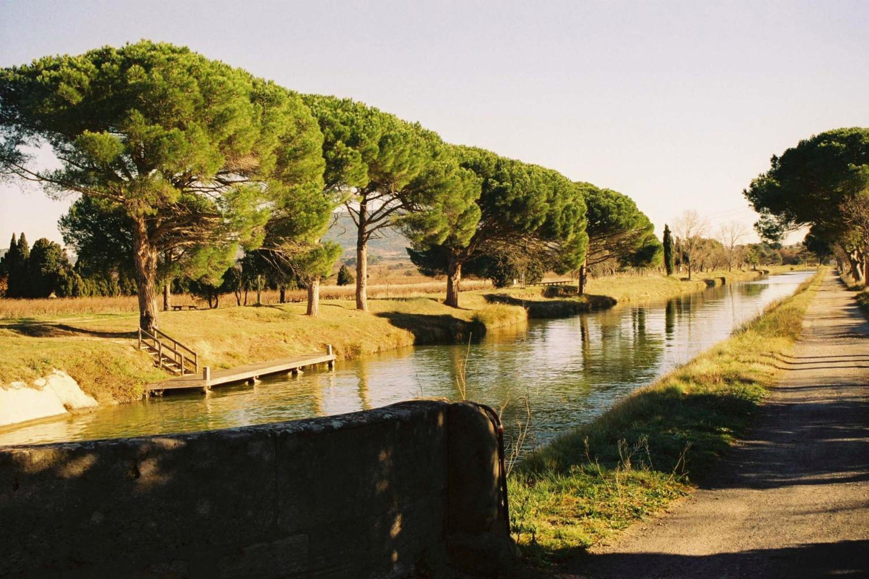 Photo 43