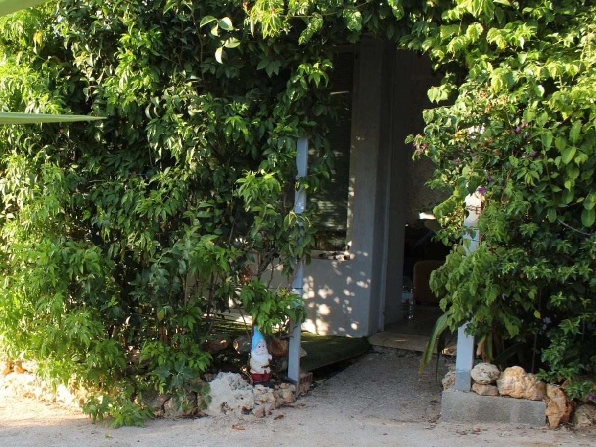 Glamping 2 pessoas 47 A Parque campismo Retiro dos Sonhos view 4