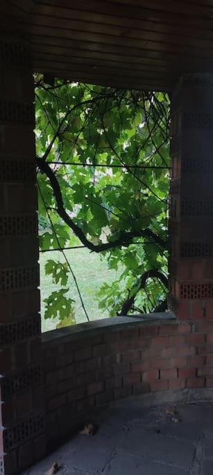 Photo 44