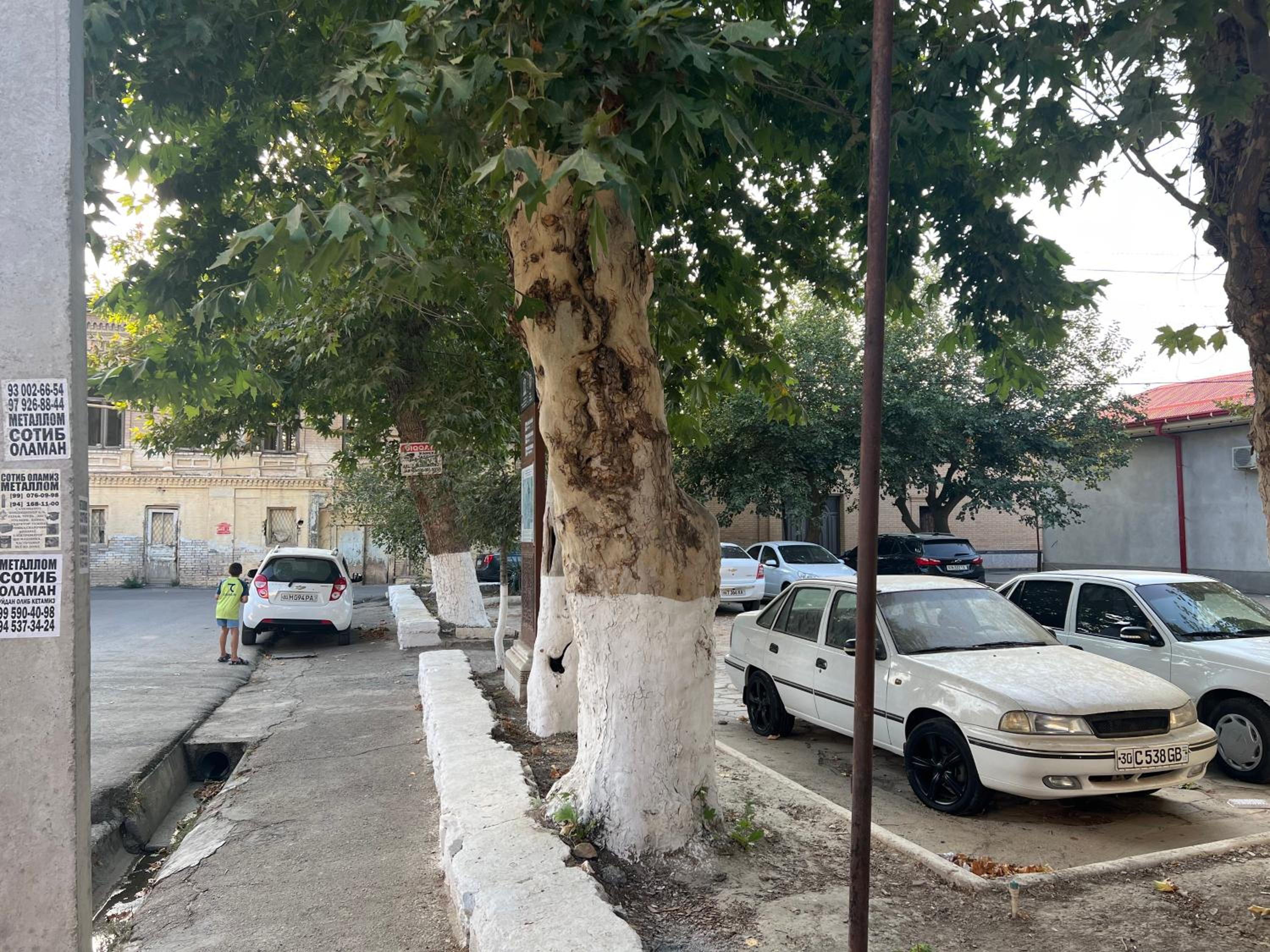 parking