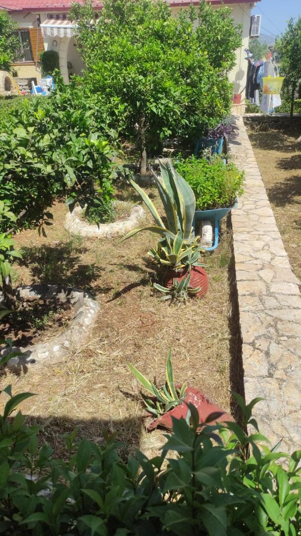 Villa Mitsi Sarande