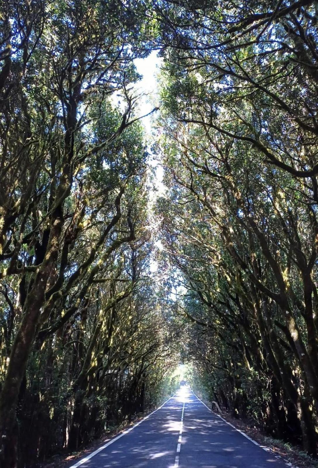 Jardin Las Hayas