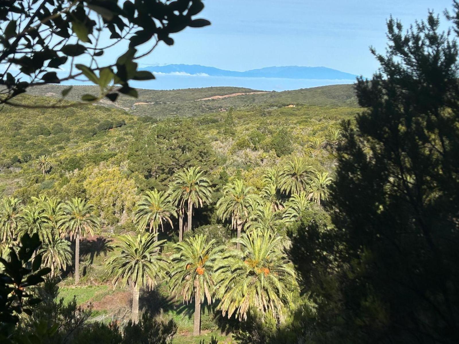 Jardin Las Hayas