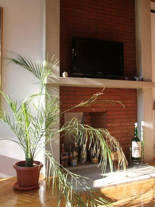 Central Apartment with Garden view 2