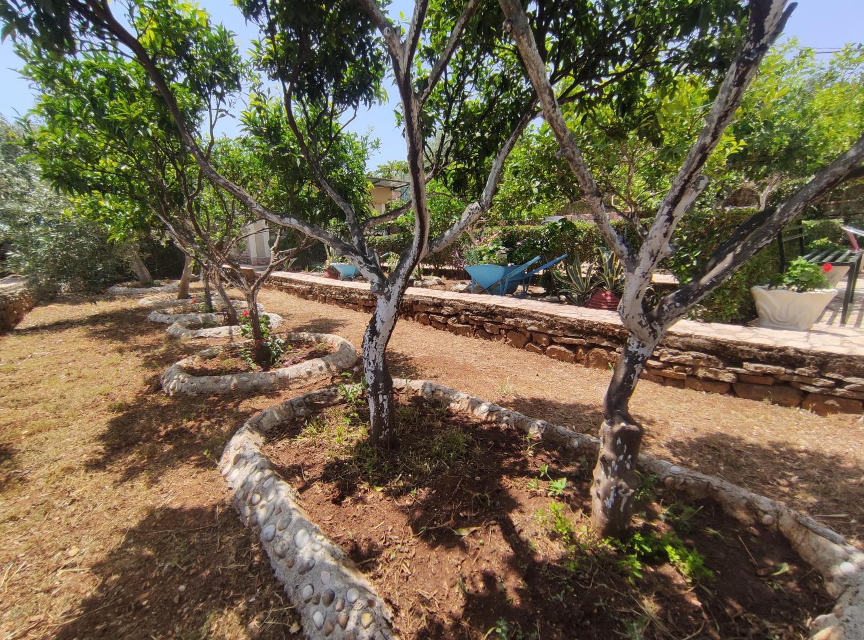Villa Mitsi Sarande