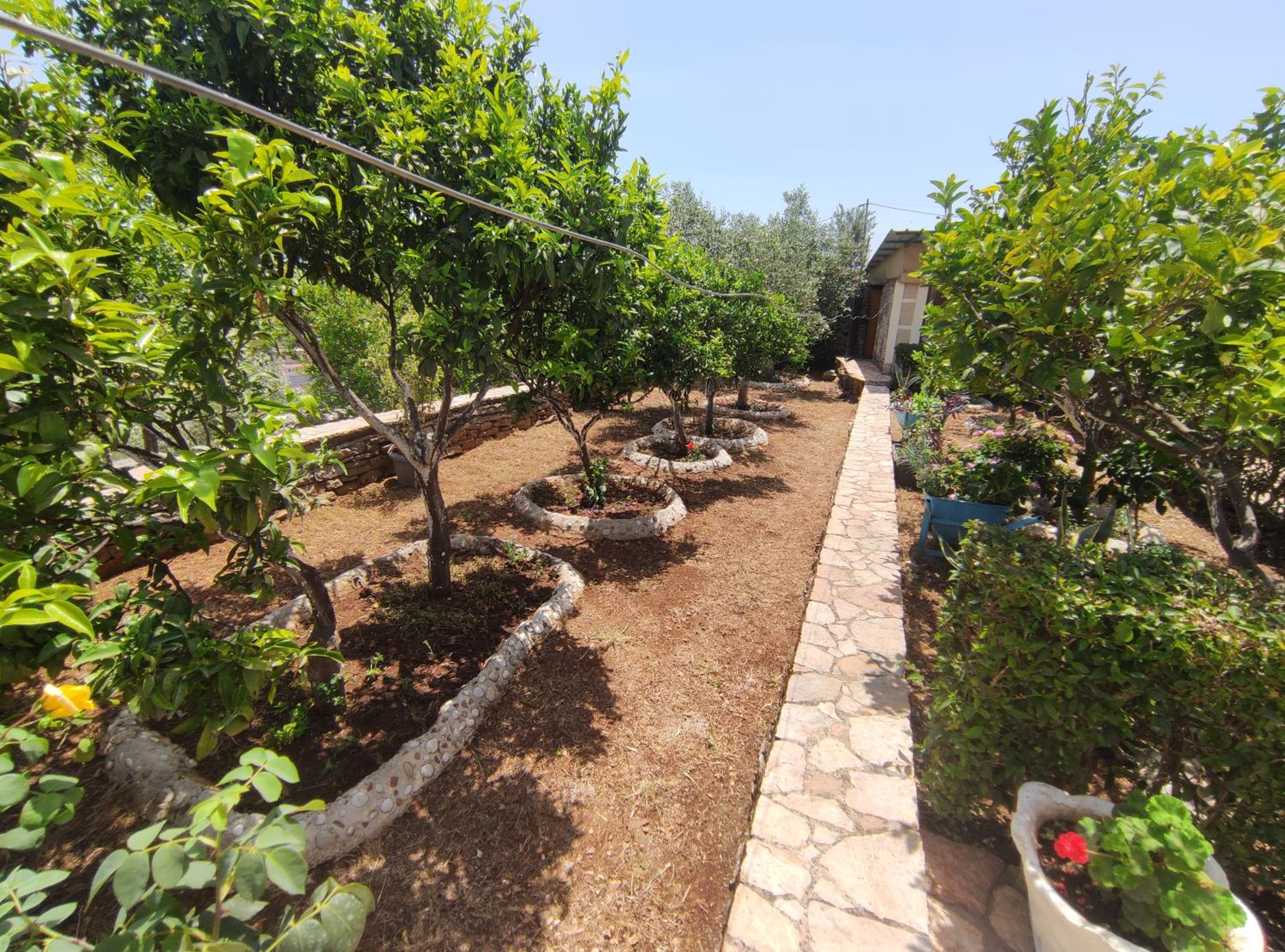 Villa Mitsi Sarande