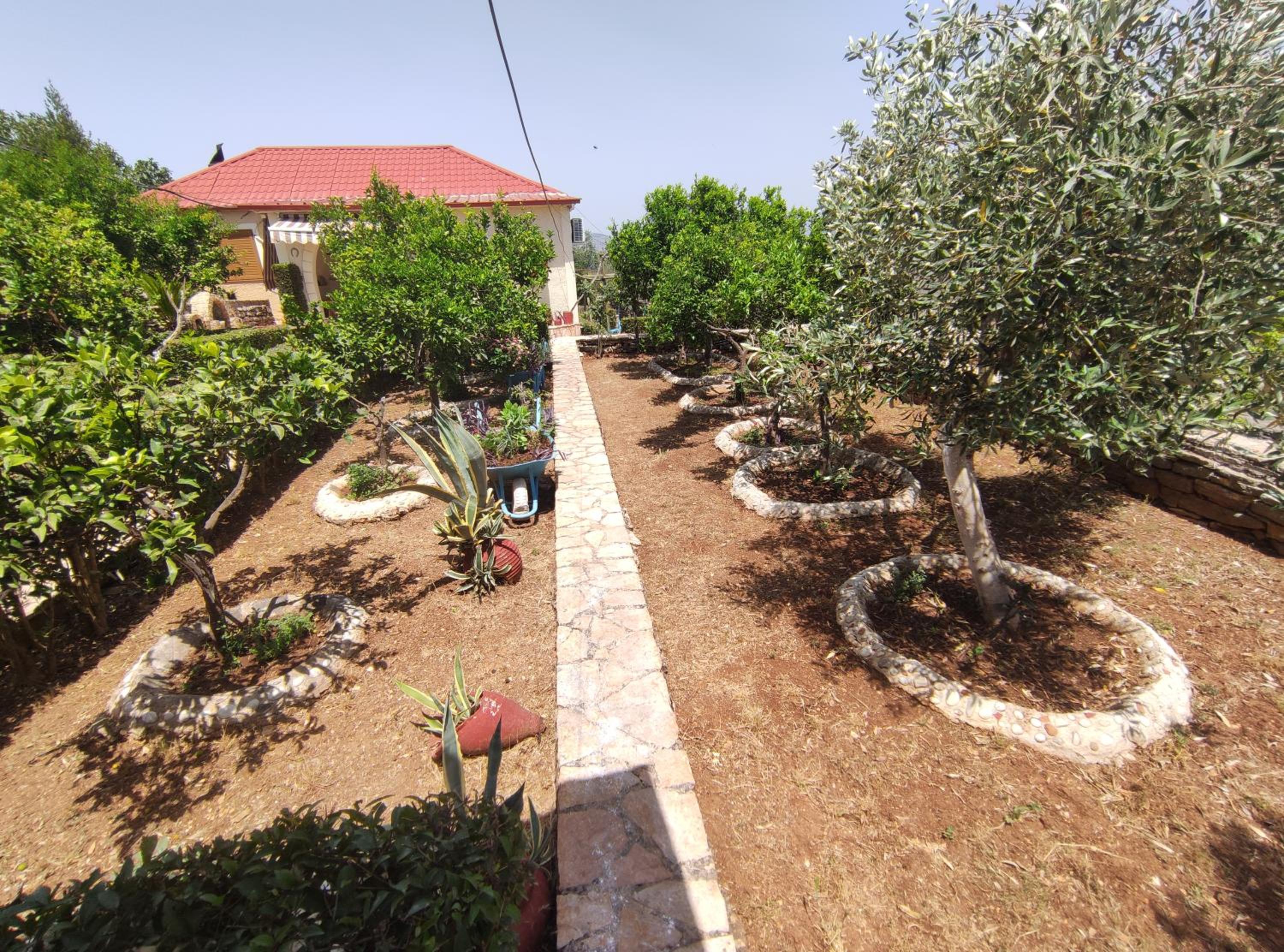 Villa Mitsi Sarande